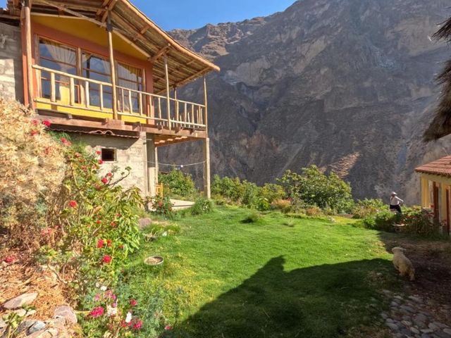La Casa de Roy — 6.8 km away from Colca Canyon Arequipa