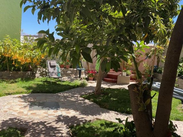 Paraiso Palmeras - Cabanaconde — 10.8 km away from Colca Canyon Arequipa