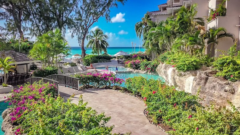 Bougainvillea Barbados — South Coast