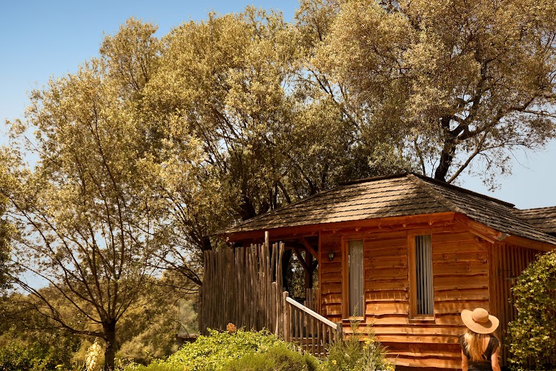 L'Hostellerie du Moulin des Oliviers — Ajaccio