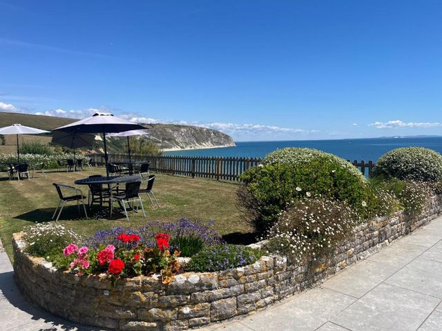The Pines Hotel — 7.5 km away from Corfe Castle Dorset