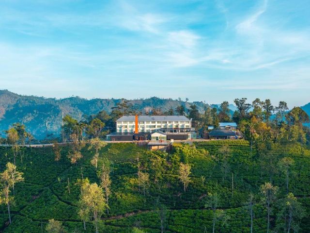 Newburgh Ella - The Tea Factory Resort — 700 m away from Nine Arches Bridge Ella