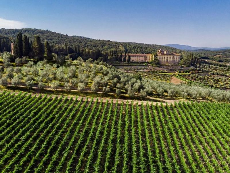 Torre a Cona Wine Estate, Florence