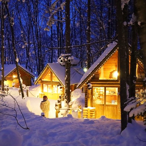 New Furano Prince Hotel