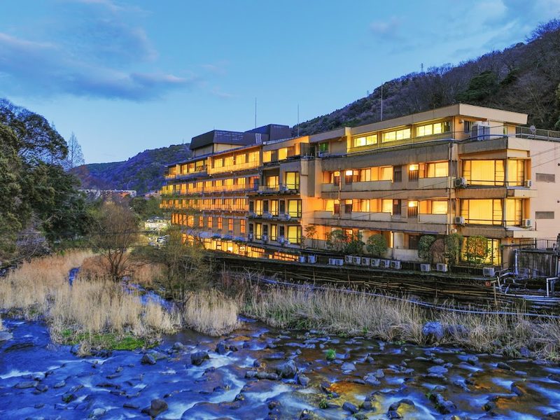 Hakone Pax Yoshino