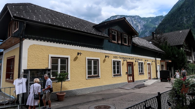Polreich Bed&Breakfast — Near Museum Hallstatt / lower hillside (short walk to center)
