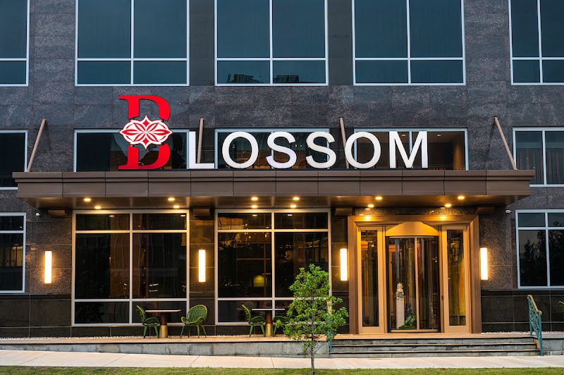 Blossom Hotel Houston — Texas Medical Center / Near NRG