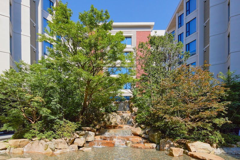 Best Hotels with Views in Kanazawa 2026