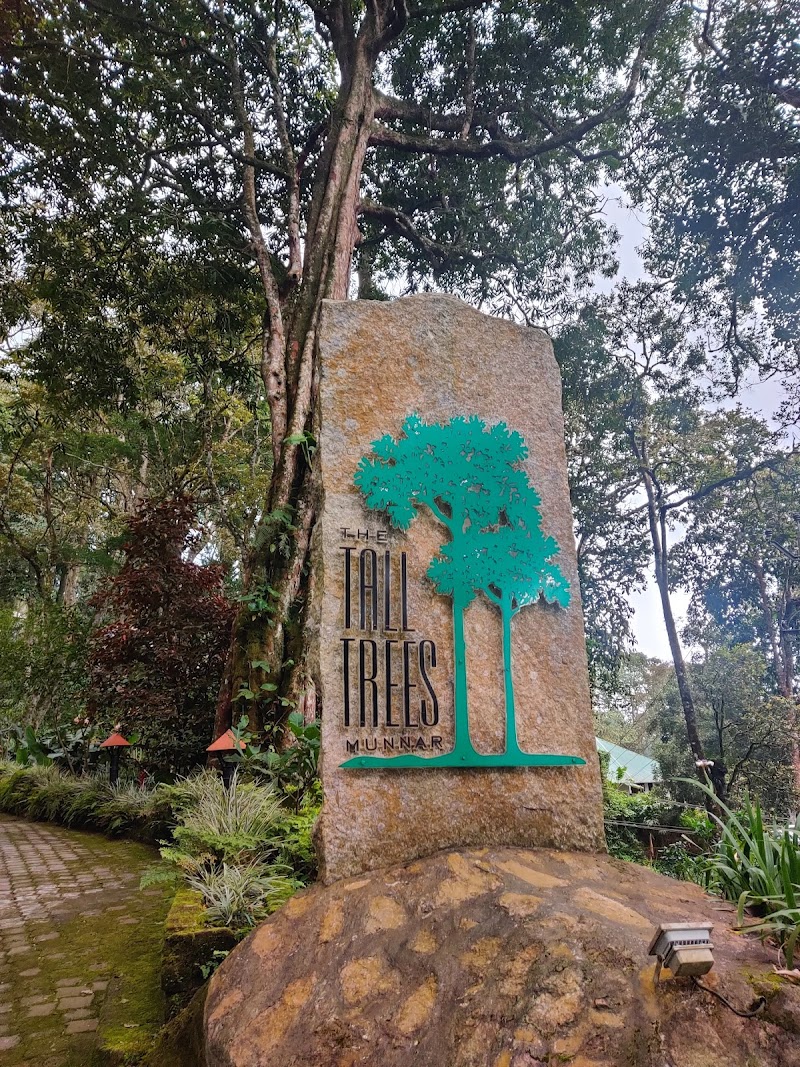 The Tall Trees, Munnar — Munnar