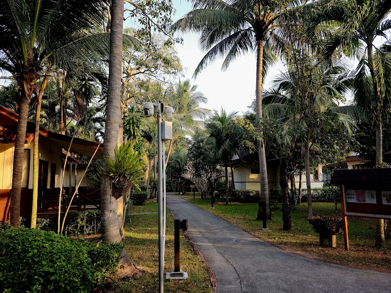 Coco Palm Beach Resort — Mae Nam