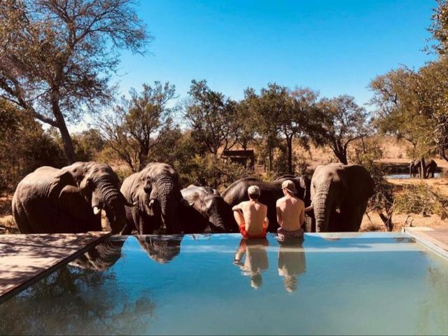 Honeyguide Tented Safari Camps - Mantobeni — 16.2 km away from Sabi Sand Reserve Kruger