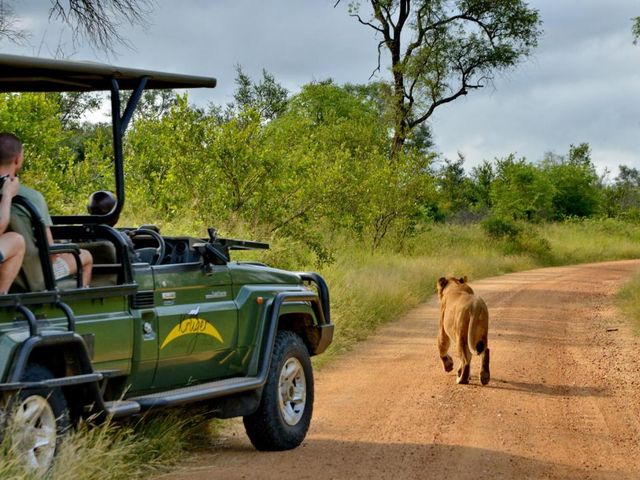 Kruger Safari Lodge — 17.4 km away from Kruger Gate South Africa