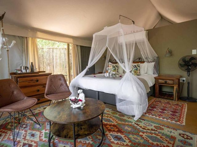 Umkumbe Bush Lodge - Luxury Tented Camp — 10.7 km away from Sabi Sand Reserve Kruger