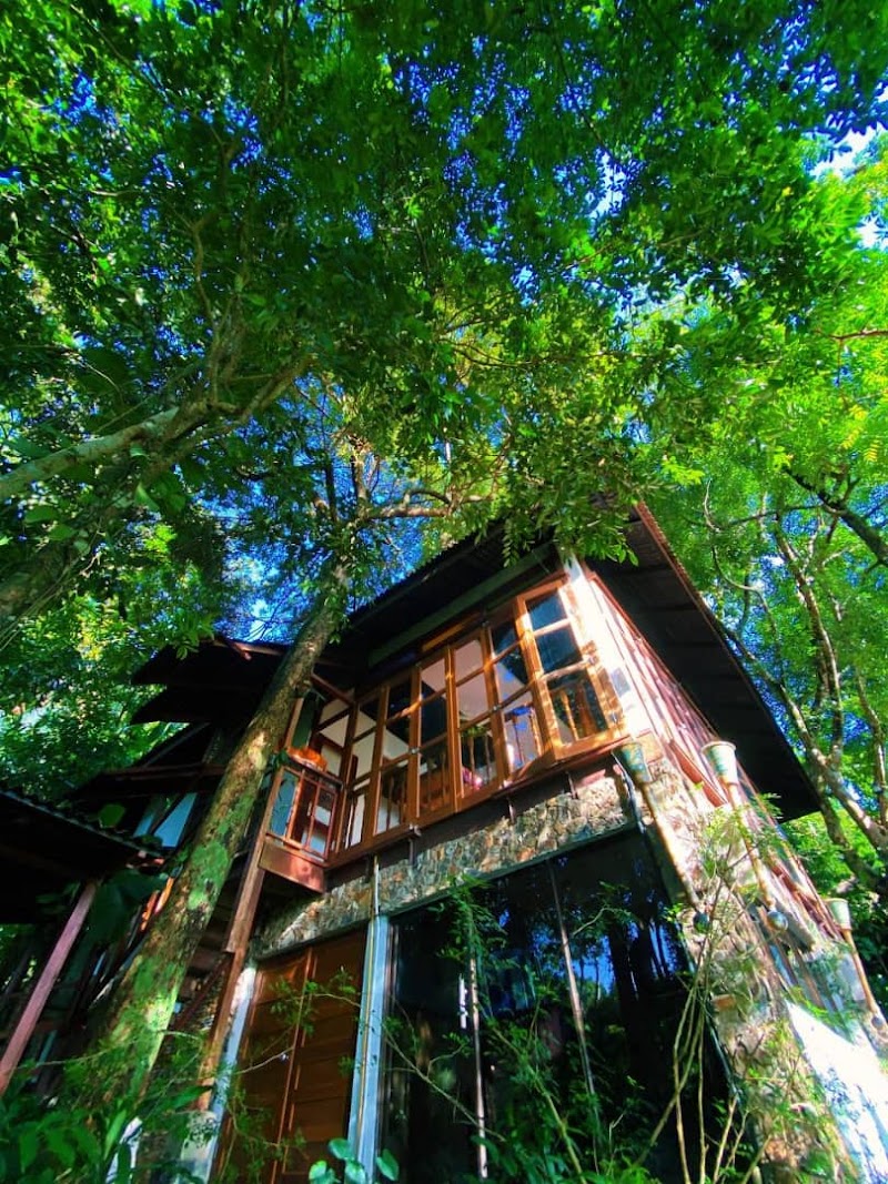 Ambong-Ambong Rainforest Retreat — Pantai Tengah (hillside)