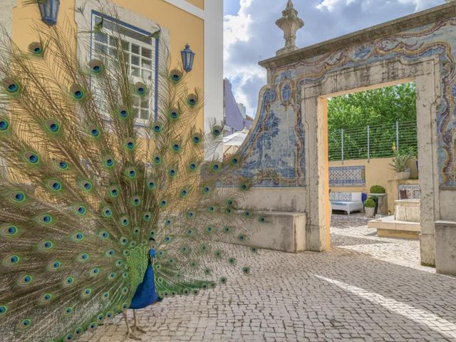 Solar do Castelo - Lisbon Heritage Collection - Alfama — 300 m away from Alfama District