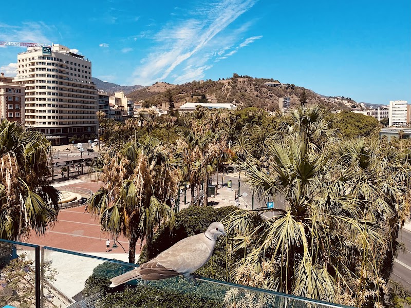 Room Mate Valeria — Port Area