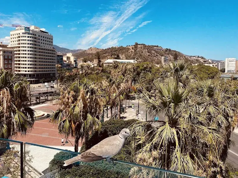 Hotels in Malaga