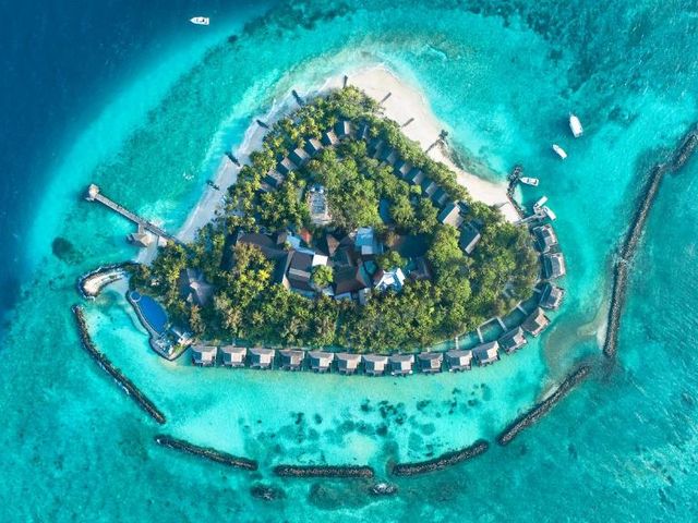 Taj Coral Reef Resort & Spa,Maldives — 12.9 km away from Overwater Bungalow Maldives