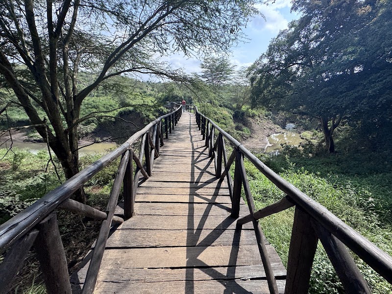 The Emakoko — Langata