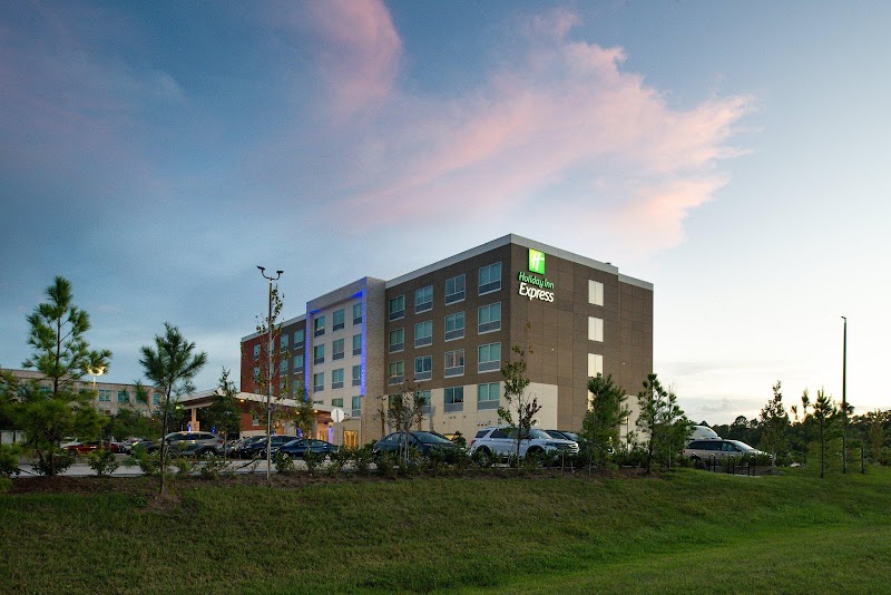 Holiday Inn Express Orlando - South Park, an IHG Hotel — South Orlando / South Park (near convention center corridor)