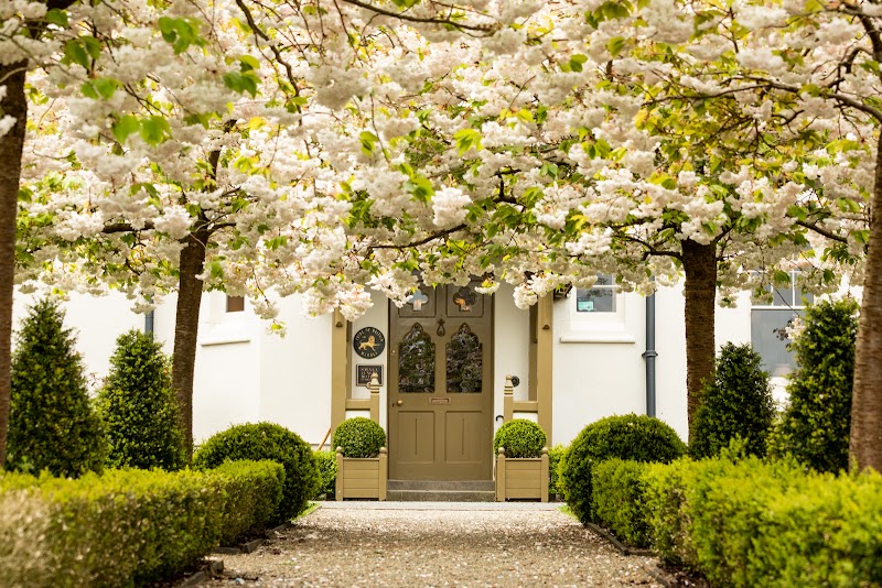 Grove of Narberth — Grove