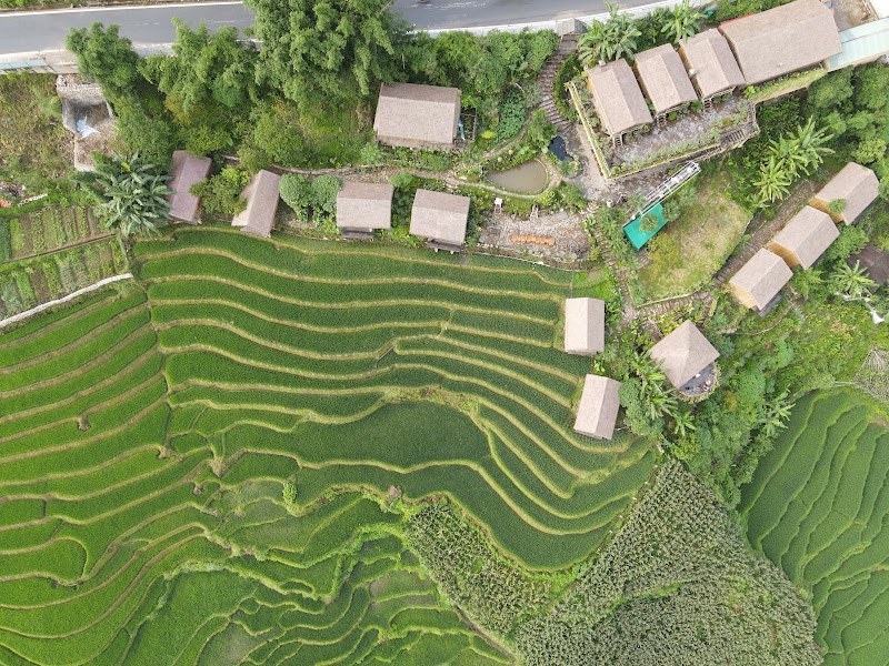 Eco Palms House - Sapa Retreat — Muong Hoa Valley