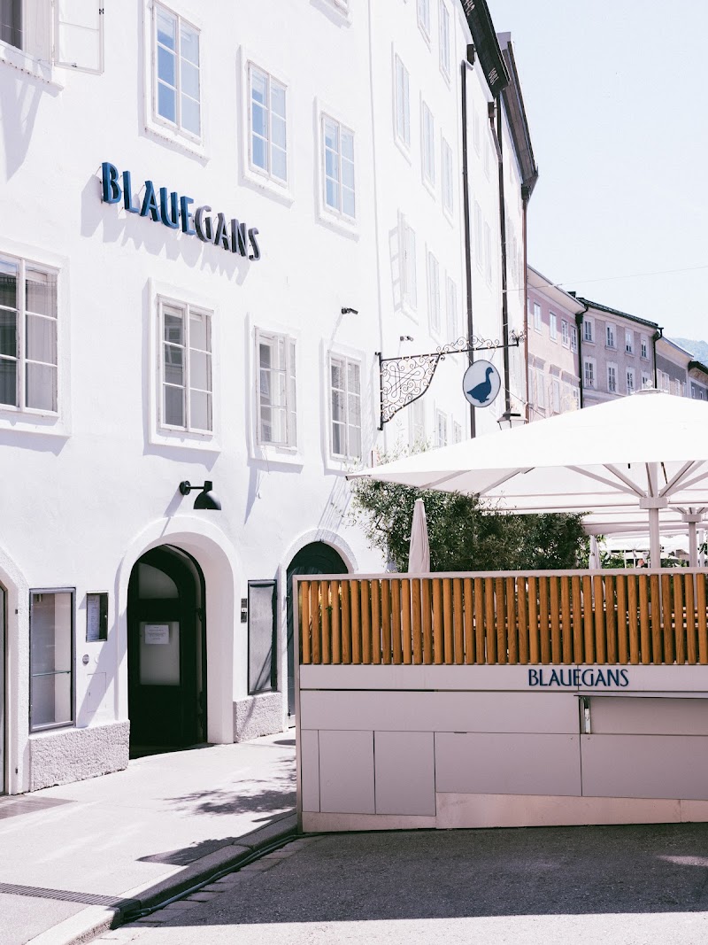 Arthotel Blaue Gans — Altstadt