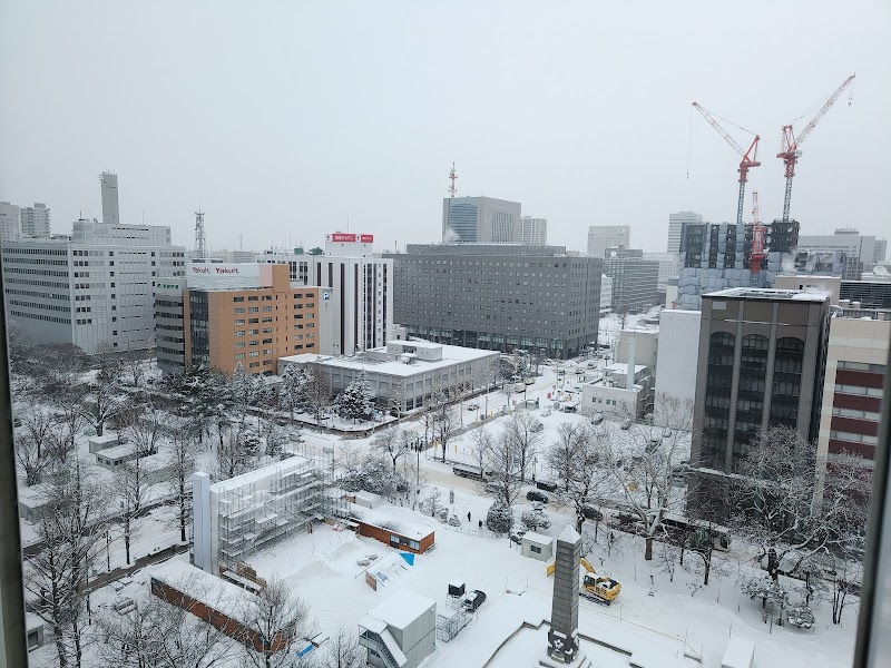 Hotel Resol Trinity Sapporo