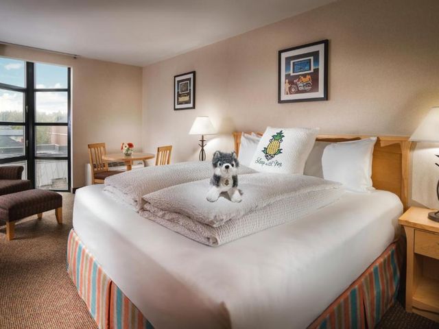 Staypineapple, University Inn, University District Seattle — 450 m away from University of Washington