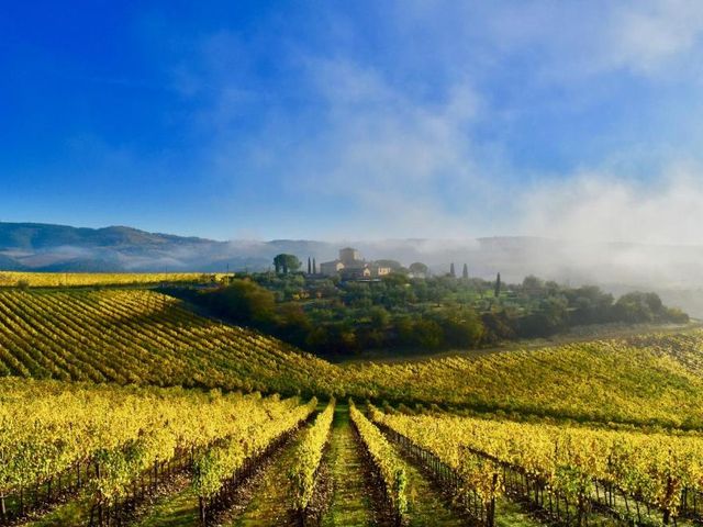 Locanda Le Piazze — 4.9 km away from Chianti Wine Region from Siena
