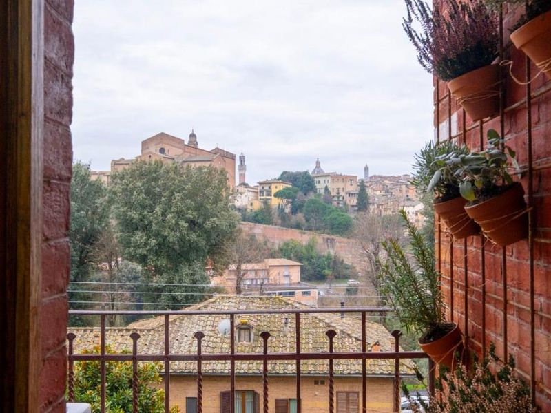 My Honeyed Corner — Siena