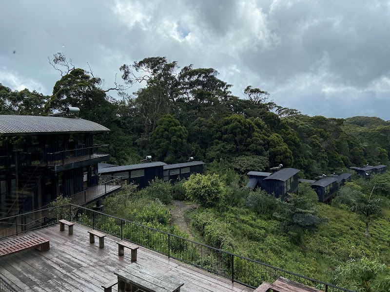 Best Eco-Friendly Hotels in Sri Lanka