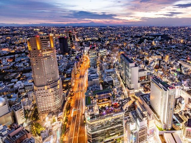 Cerulean Tower Tokyu Hotel, A Pan Pacific Partner Hotel — 350 m away from Shibuya Crossing