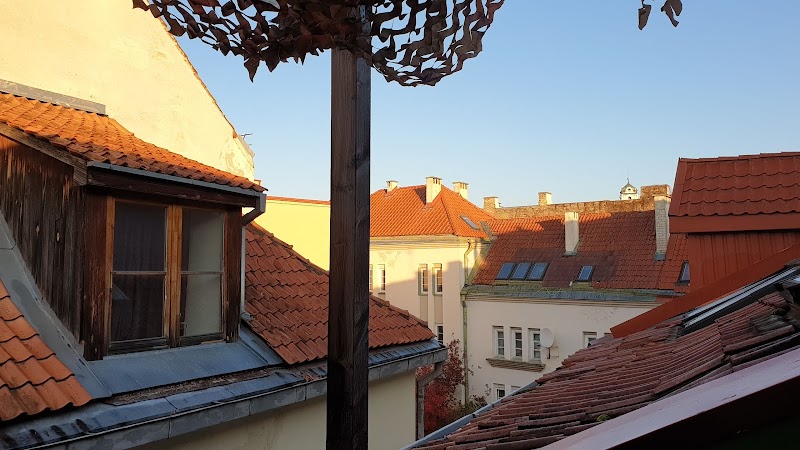 Jimmy Jumps House — Old Town