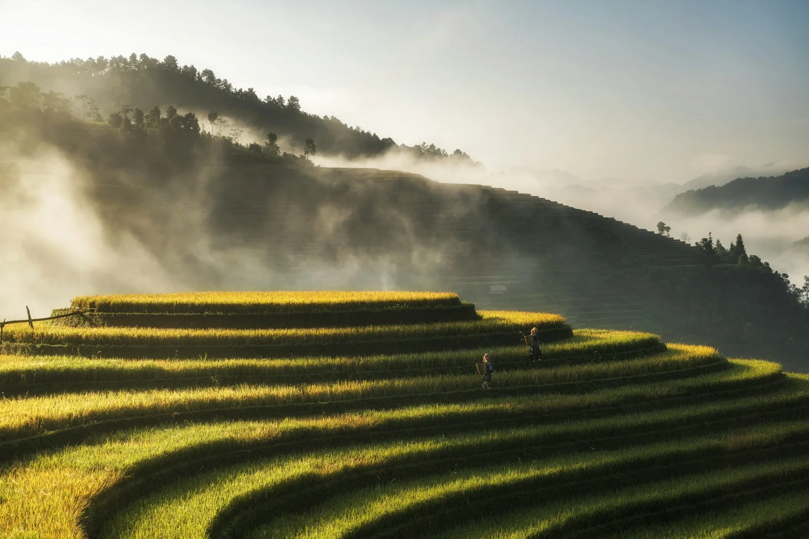 Sa Pa, Vietnam