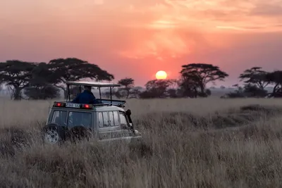 Kruger Region, South Africa