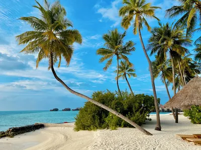 Samoa, Samoa